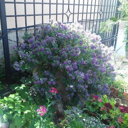 Turisticos Sanahuja アパート Valbona