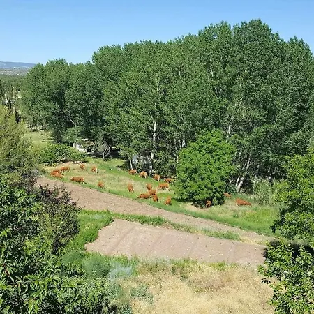 Turisticos Sanahuja Valbona (Teruel)