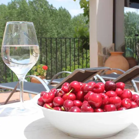 Turisticos Sanahuja *