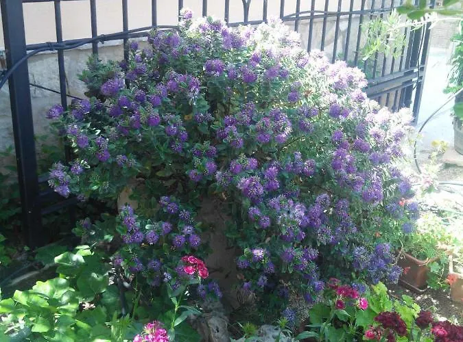 Turisticos Sanahuja Lejlighed Valbona (Teruel)