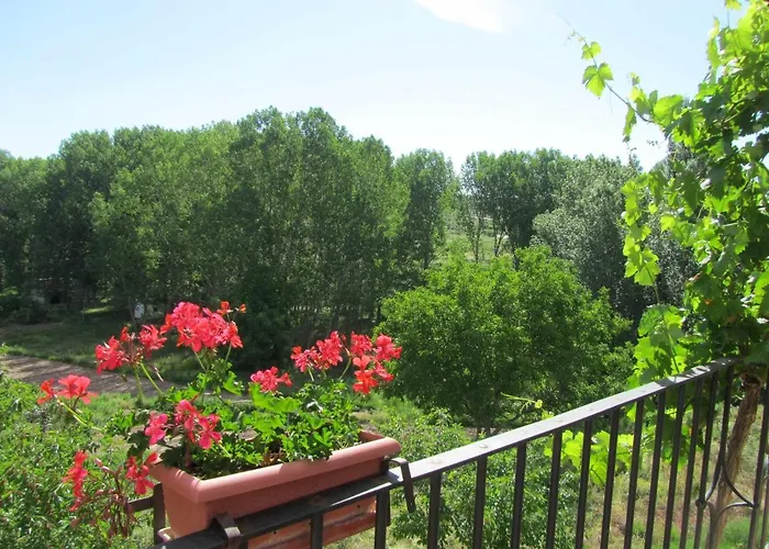 Turisticos Sanahuja *