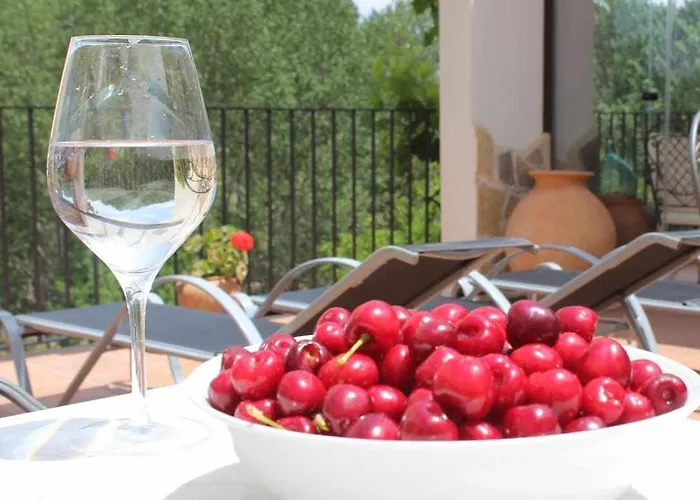 Turisticos Sanahuja *